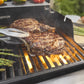 WEBER Spirit E-325 Gas Grill