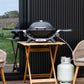 WEBER Q1200N Gas Grill