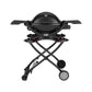 WEBER Q1200 Gas Grill – USA