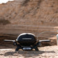 WEBER Q1200N Gas Grill