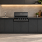 Turbo Classic 5 Burner Built-in