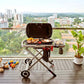 WEBER Traveler Portable Gas BBQ