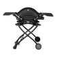 WEBER Q2200 Gas Grill – USA
