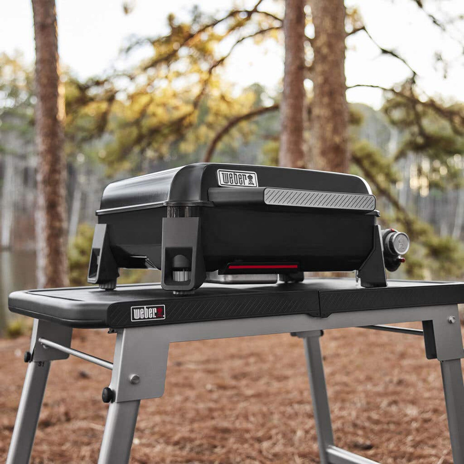 WEBER Slate 43cm Premium Griddle – The Barbecue Store Thailand