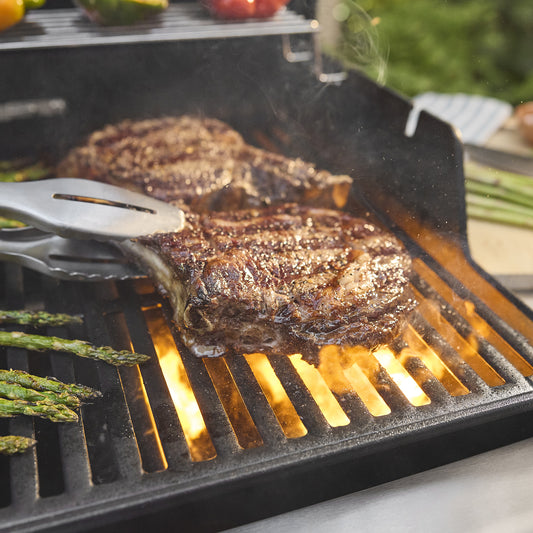 WEBER Spirit E-325 Gas Grill