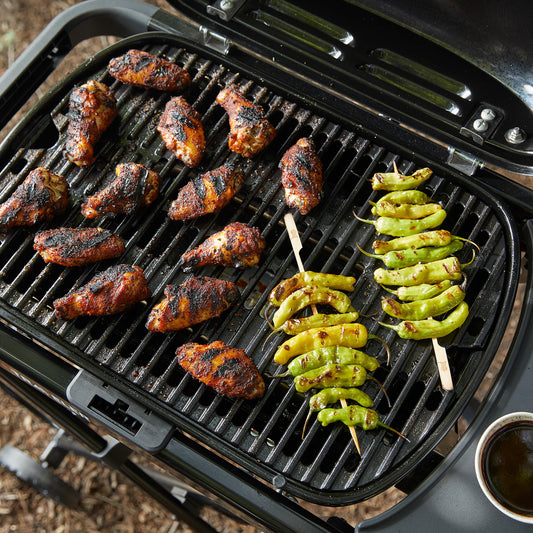 WEBER Traveler Compact Portable Gas Grill