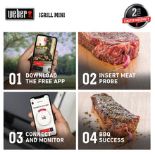 Load image into Gallery viewer, WEBER iGrill Bluetooth Thermometer